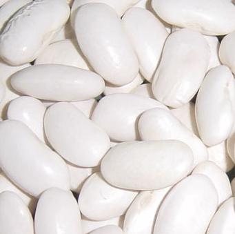 White Kidney Bean Extract White Kidney Bean Extract